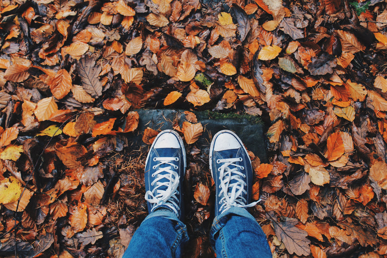 Five Fall Hikes Near Halifax